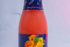 WhatsApp-Image-2023-09-20-at-1.30.59-PM-1